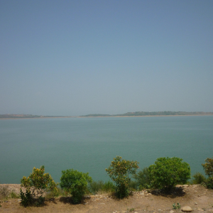 Image gallery marquee